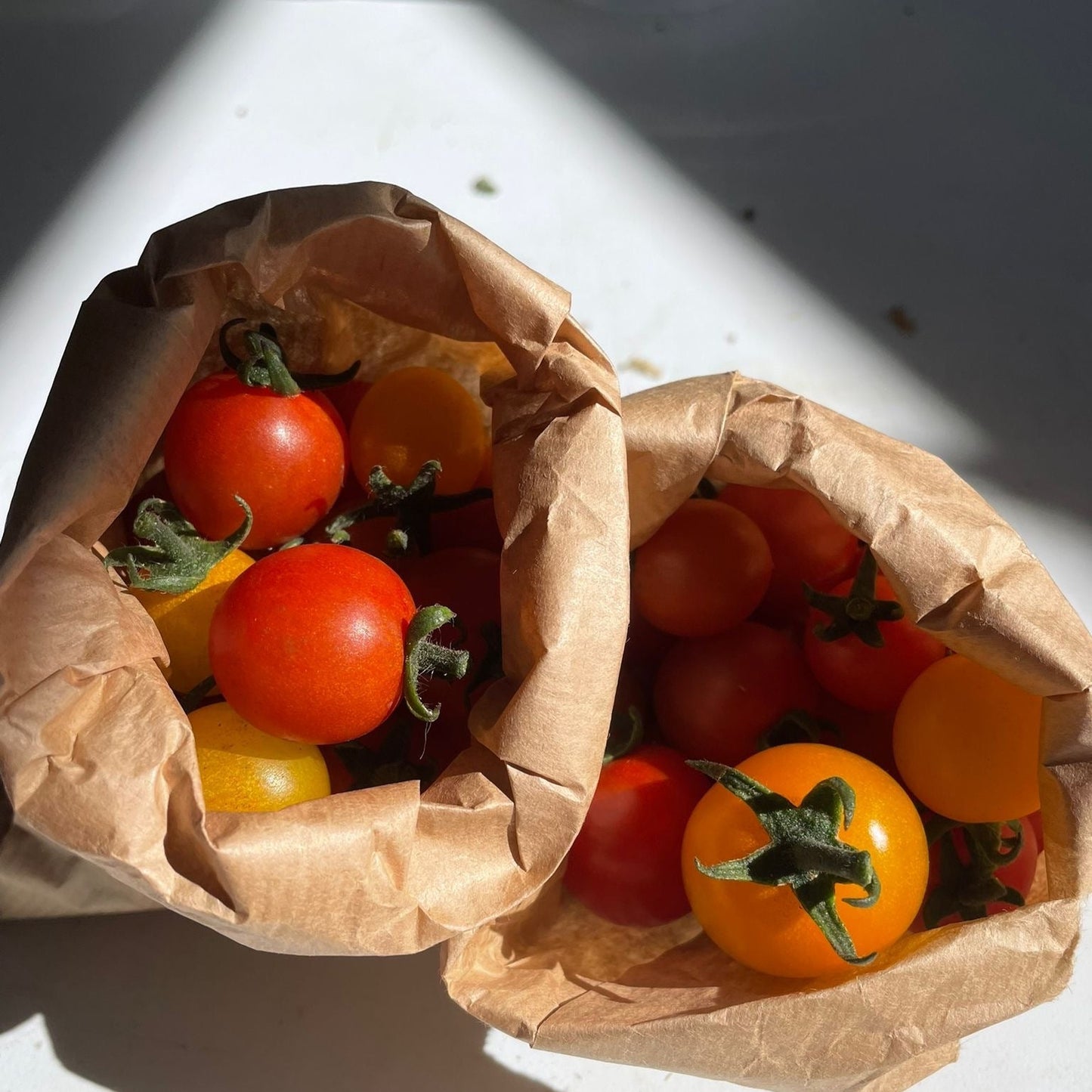Cherrytomater 250g