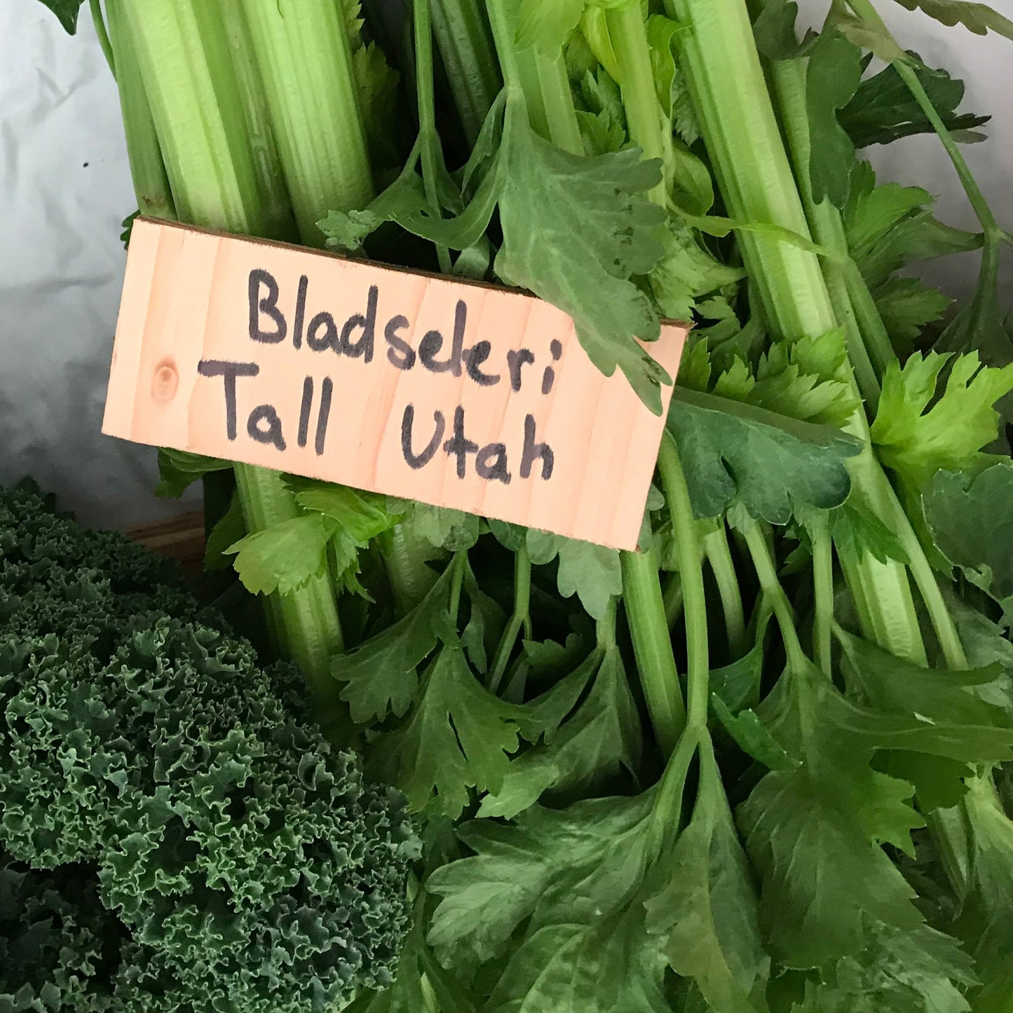 Bladselleri 1 stk