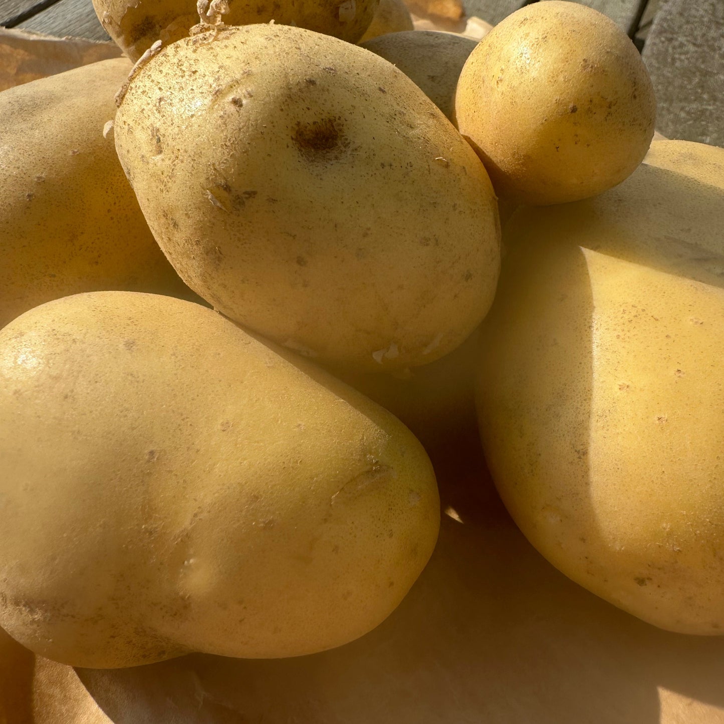 Kartofler 1 kg - friskhøstede