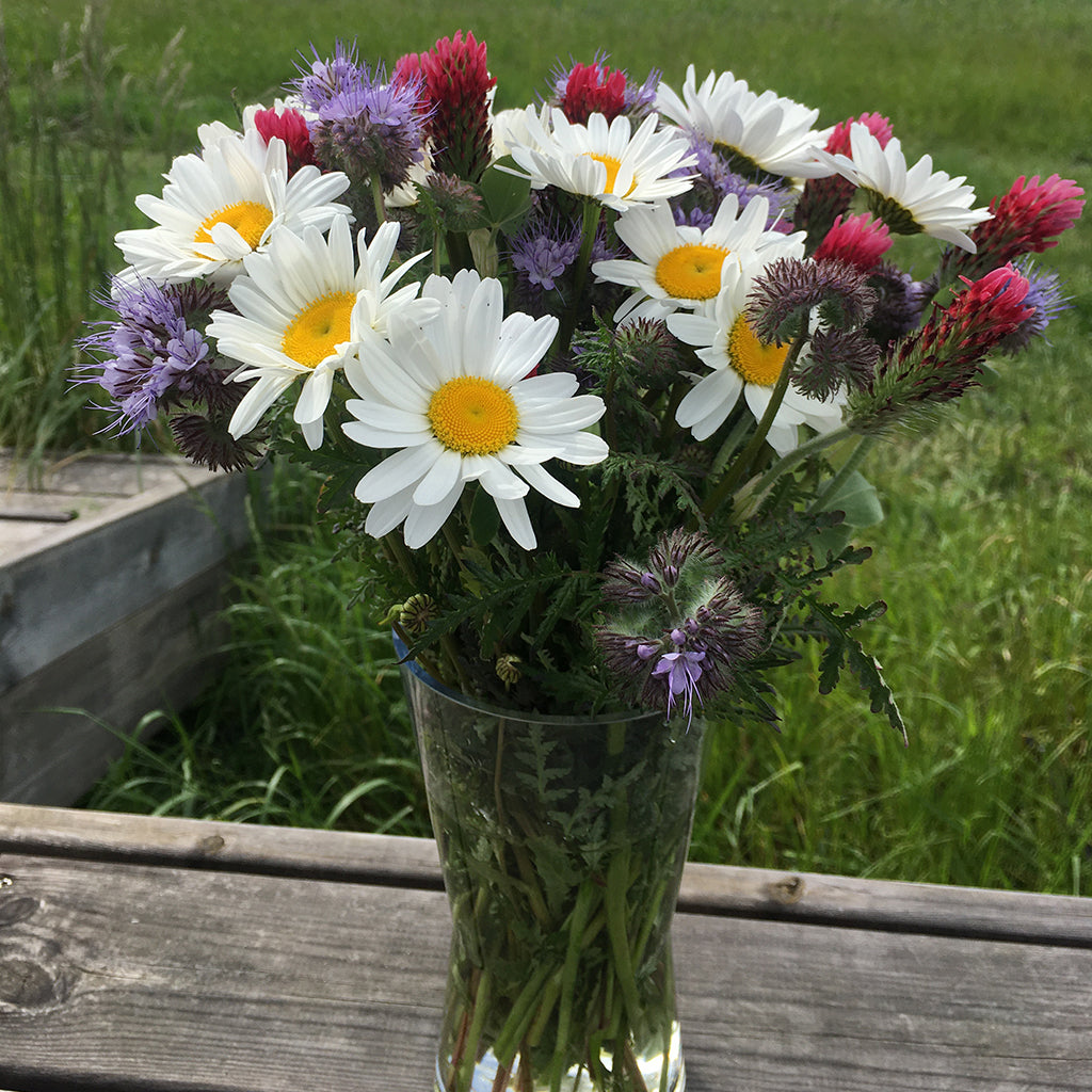 Et bundt blomster om ugen - #Blomsteraktie