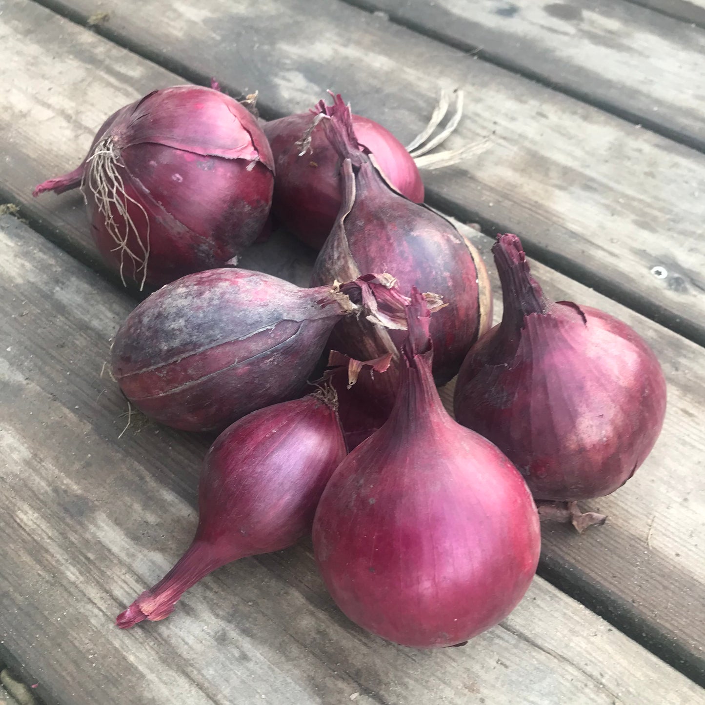 Rødløg, 1 kg