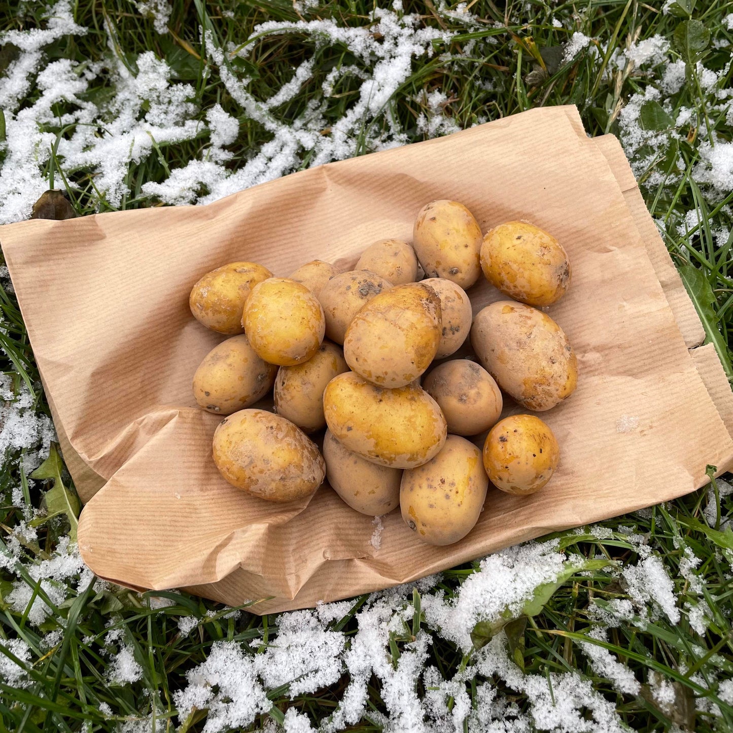 Mini kartofler til at brune, 1 kg