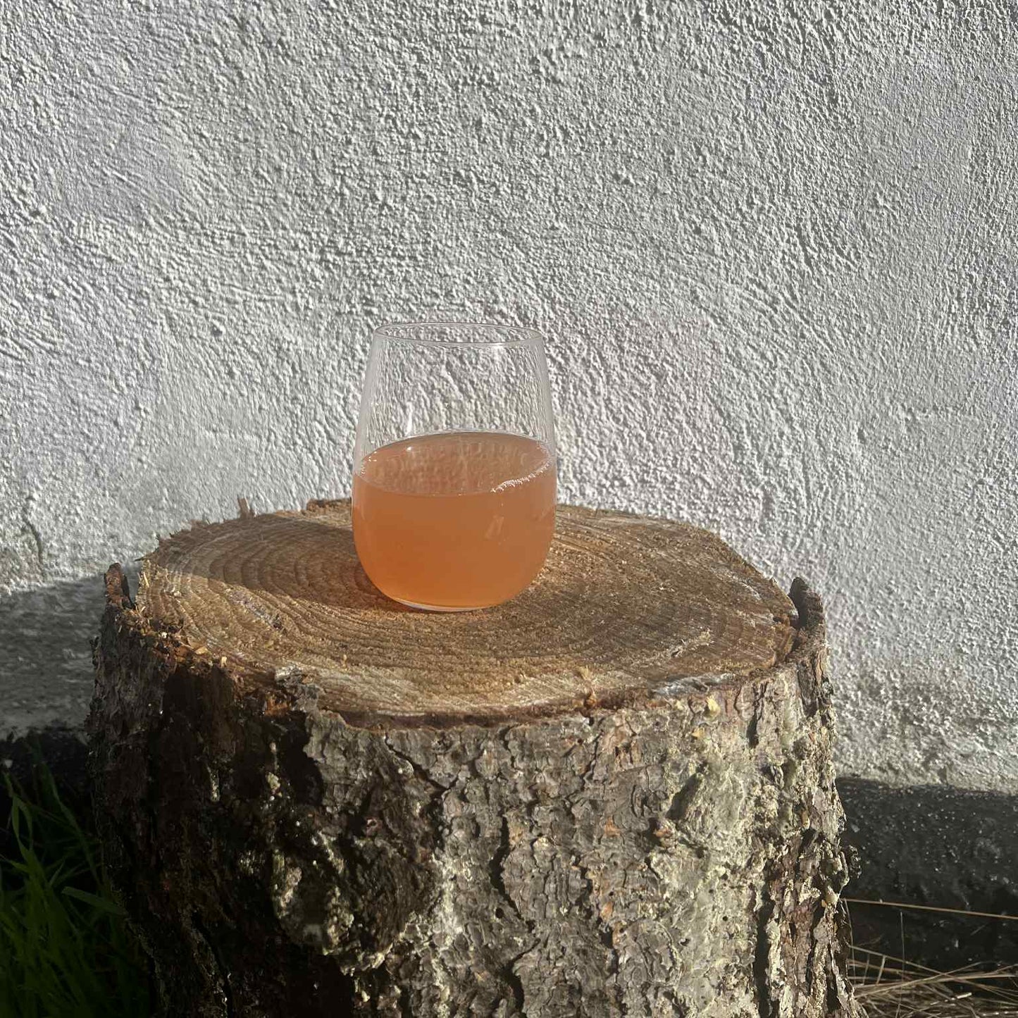 Æblemost Ritt B. Discovery Rød Aroma Topaz