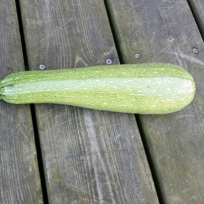 Squashplanter, 2 potte