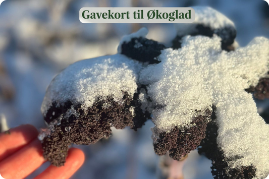 Glædelig Jul Gavekort