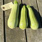 Squash