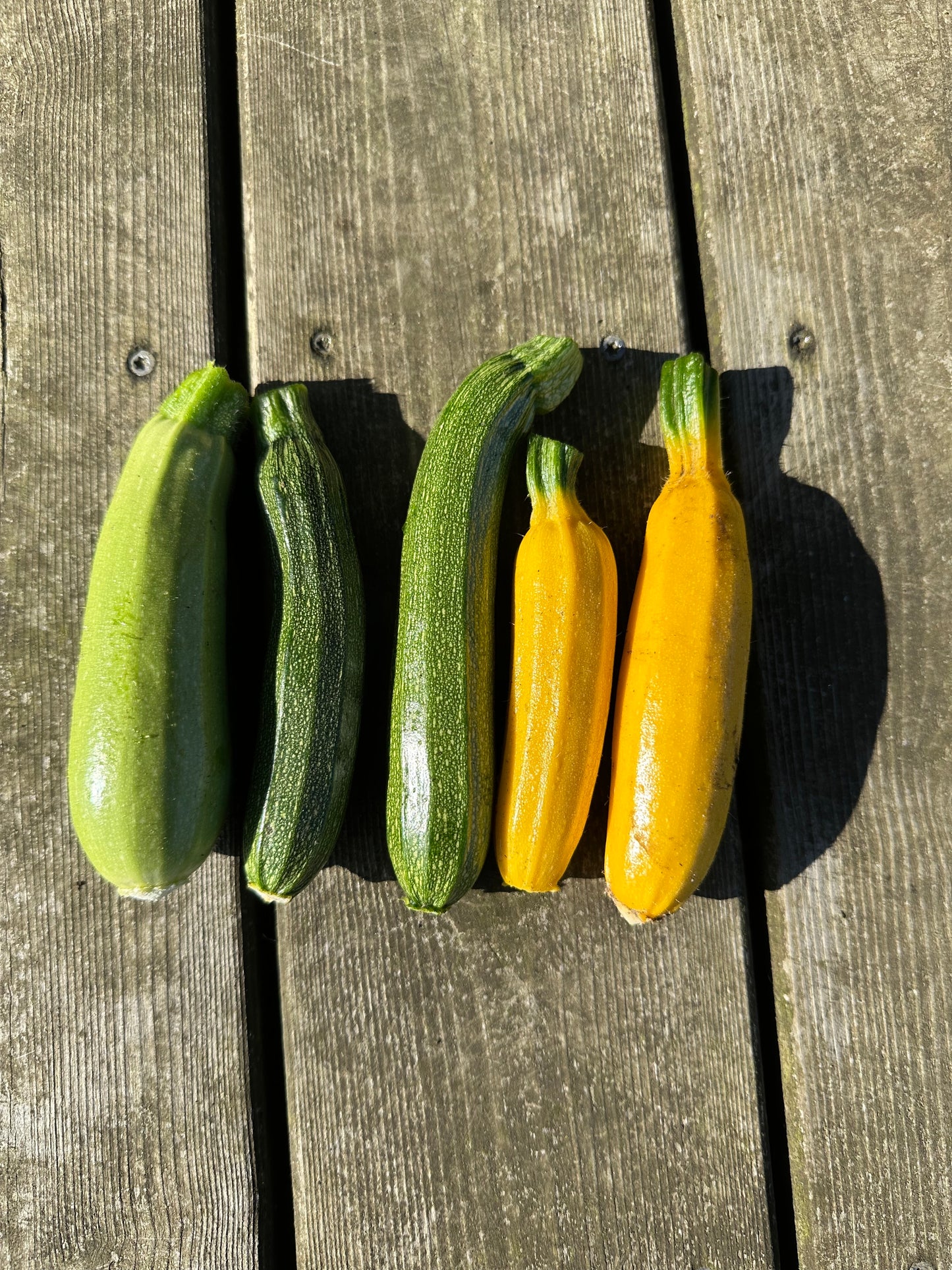 Squash