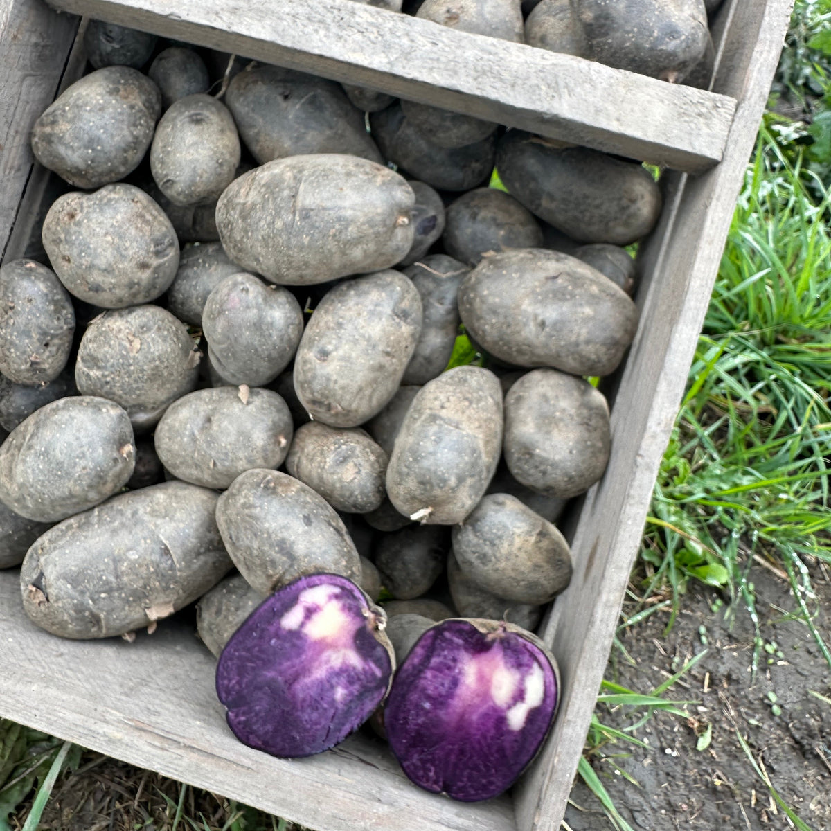 Bagekartofler 5 stk