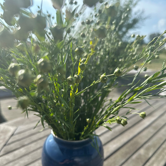Hør, et bundt tørrede blomster