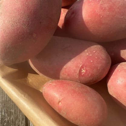 Kartofler 1 kg - 🌱Snart høstklar