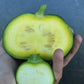 Squash