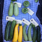 Squashplanter, 2 potte
