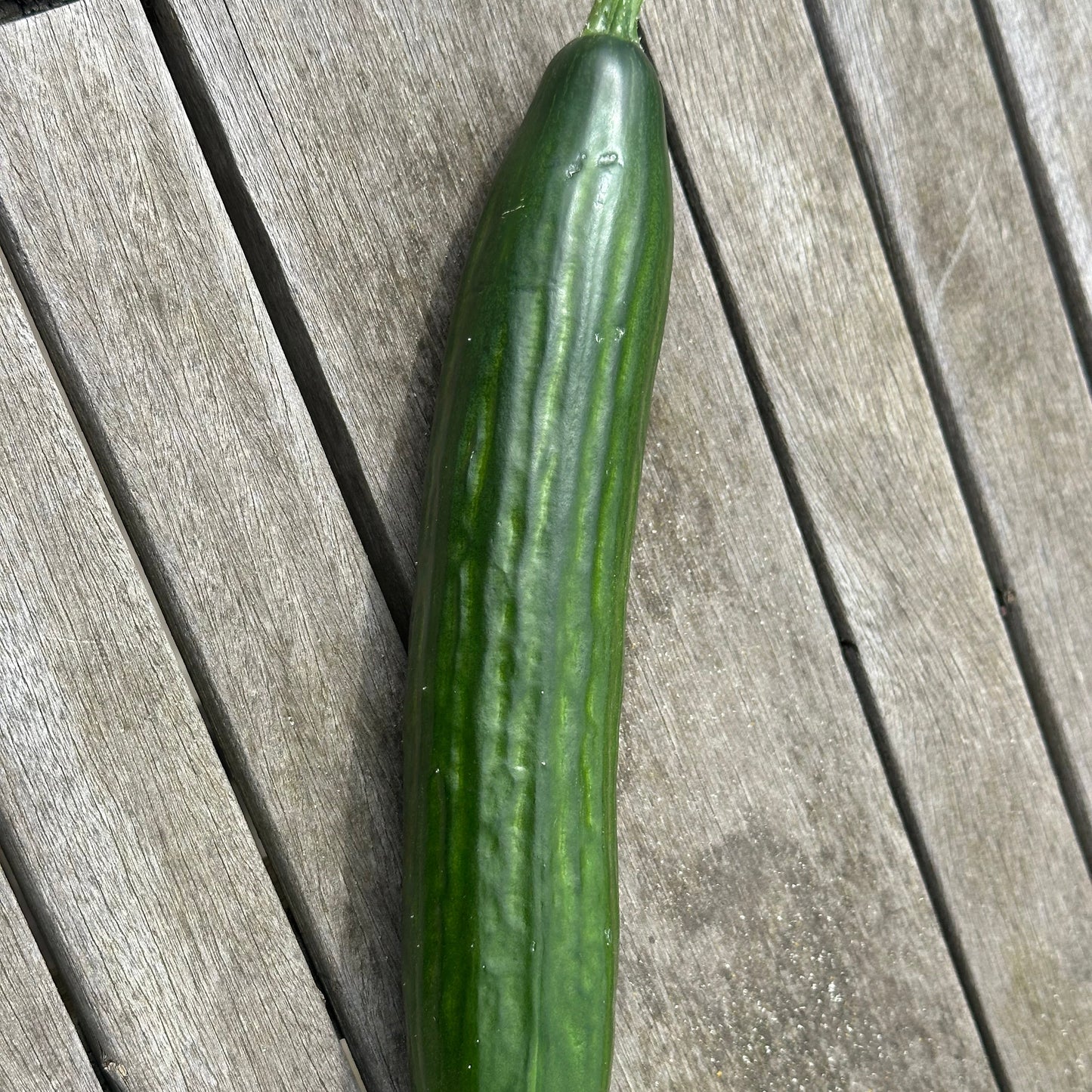 "Slange" Agurk 1 stk