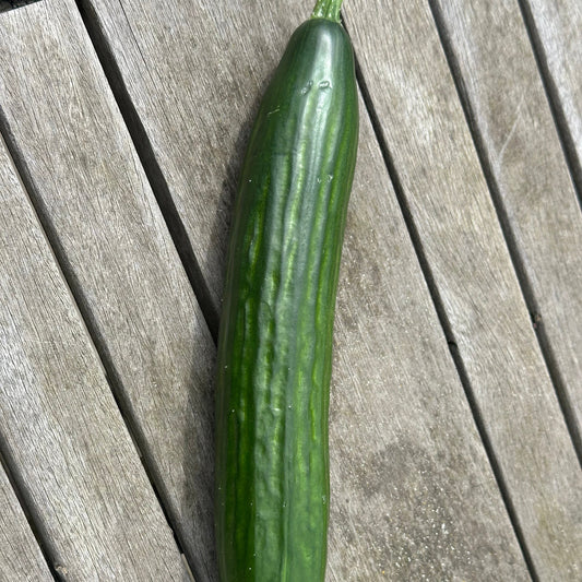 "Slange" Agurk 1 stk