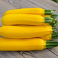 Squash