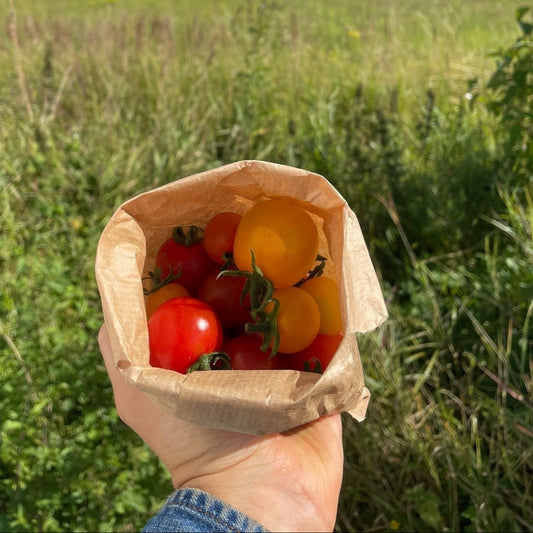 Cherrytomater 250g