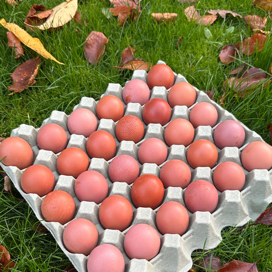 30 stk Friske små æg