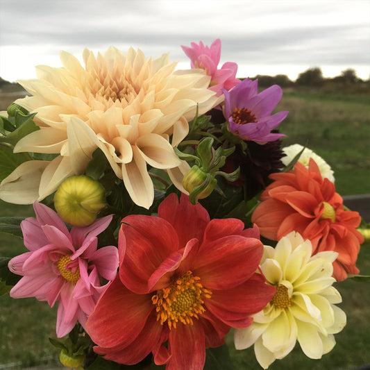 Et bundt blomster om ugen - #Blomsteraktie
